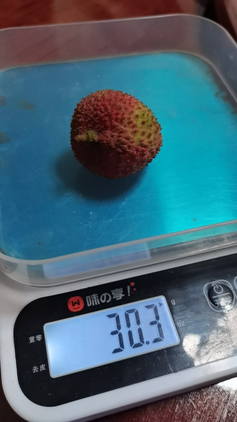 广西妃子笑果粒20-22个一斤