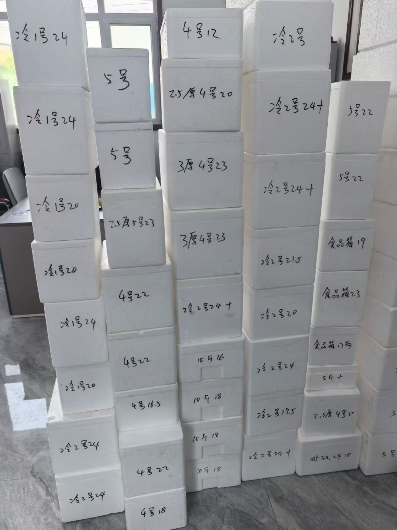 各类蔬菜、水果专用泡沫箱