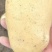 河南大量有货价格合适有意的联系