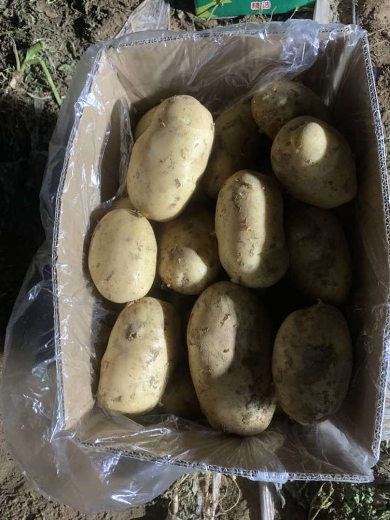 河南大量有货价格合适有意的联系
