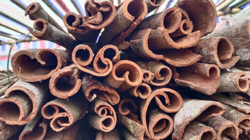 肉桂皮，通桂皮干货