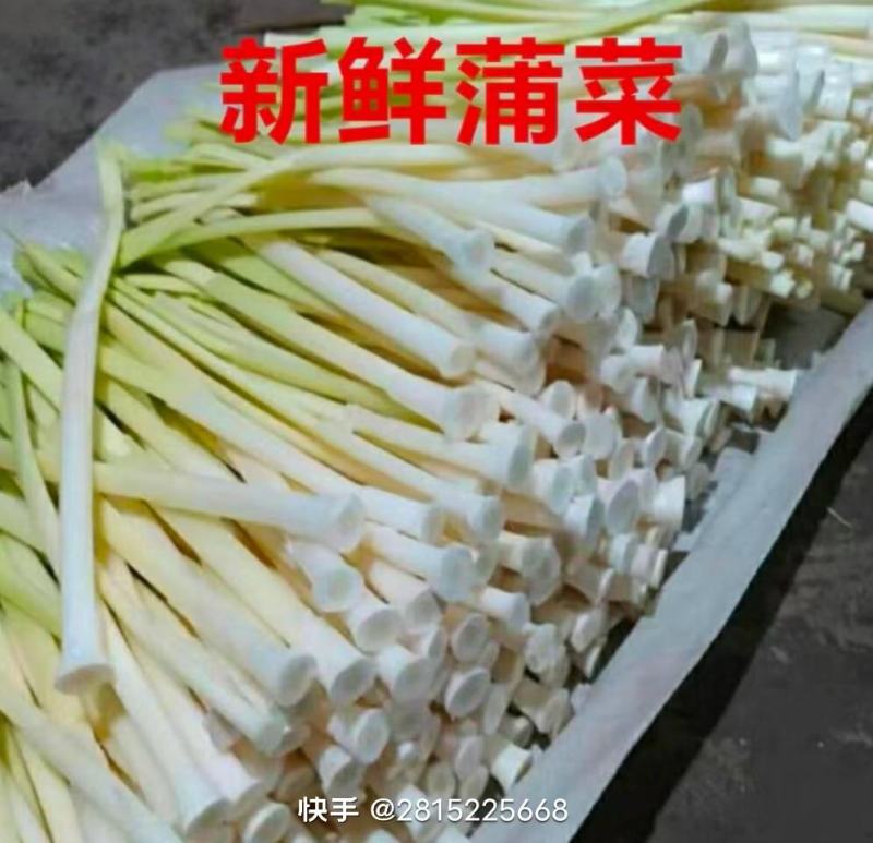 淮安水蒲菜毛杆子
