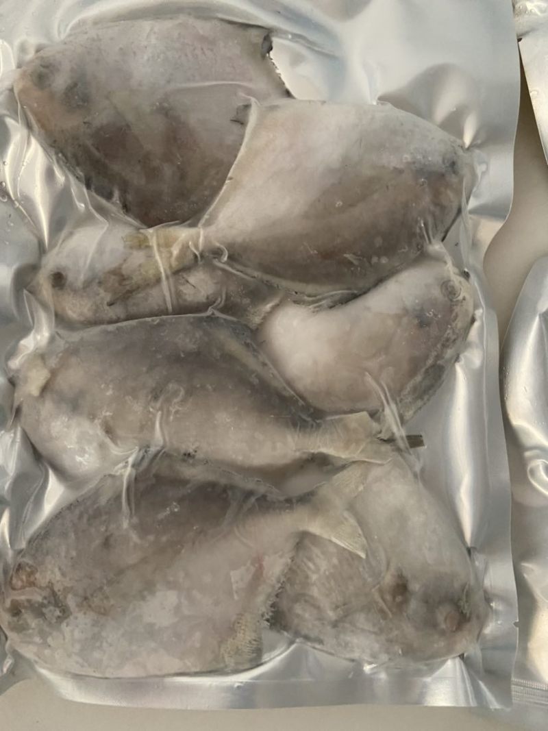 新鲜海捕冷冻鲳鱼团购小包装，支持团购微商定制！