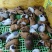 老鼠兔、宠物鼠，(豚鼠，荷兰猪)