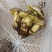 野生菌，鸡枞，香菌，葱头菌