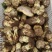 野生菌，鸡枞，香菌，葱头菌