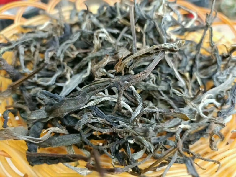 忙肺古树茶