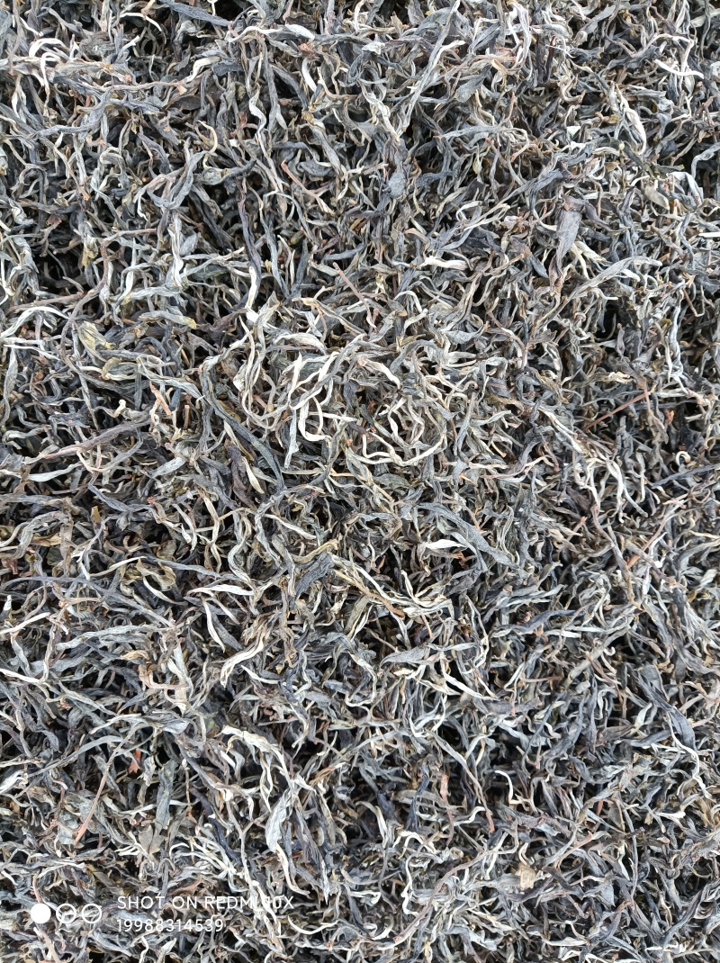 忙肺古树茶
