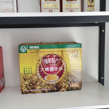 辽宁朝阳小米