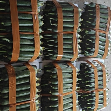 香丝瓜