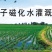 绿色富硒磁化水香米