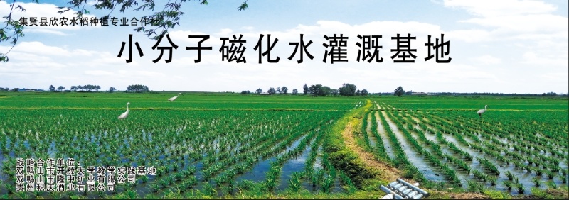 绿色富硒磁化水香米