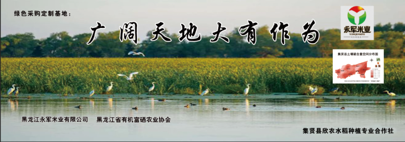 绿色富硒磁化水香米