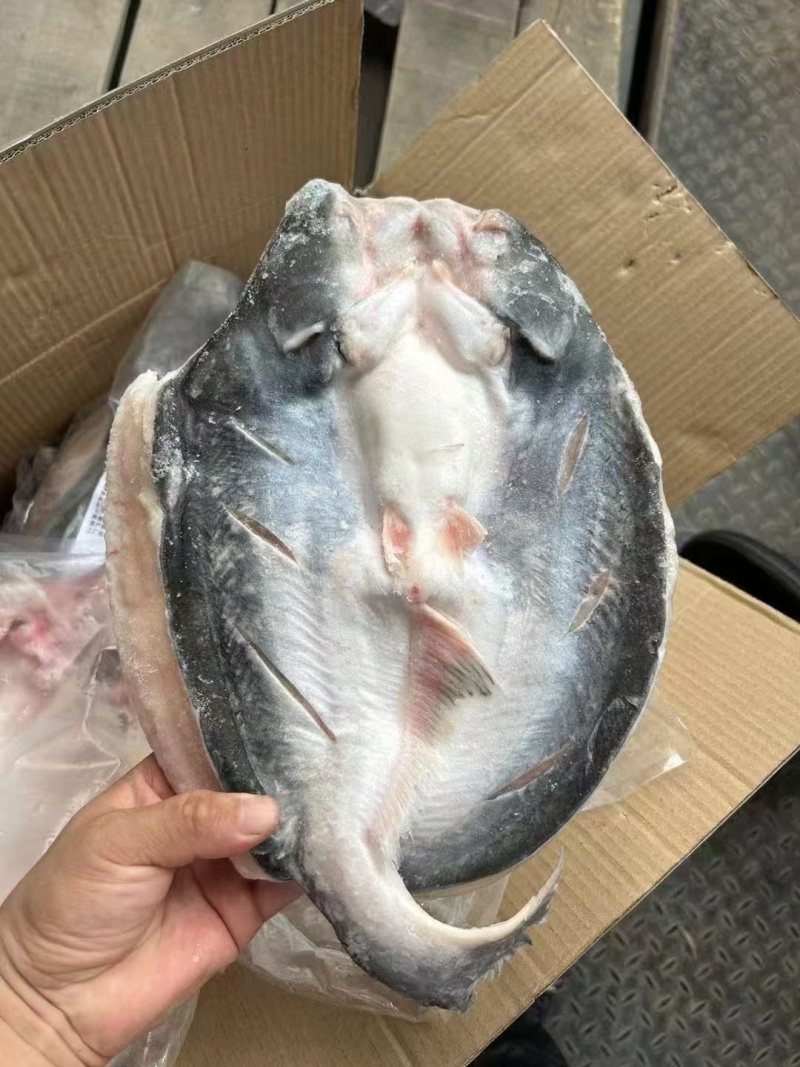 腌制开背巴沙鱼，700/900900/1100
