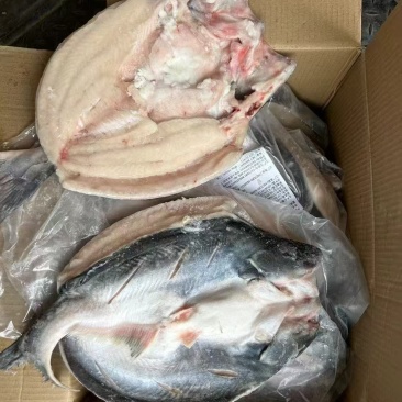 腌制开背巴沙鱼，700/900900/1100