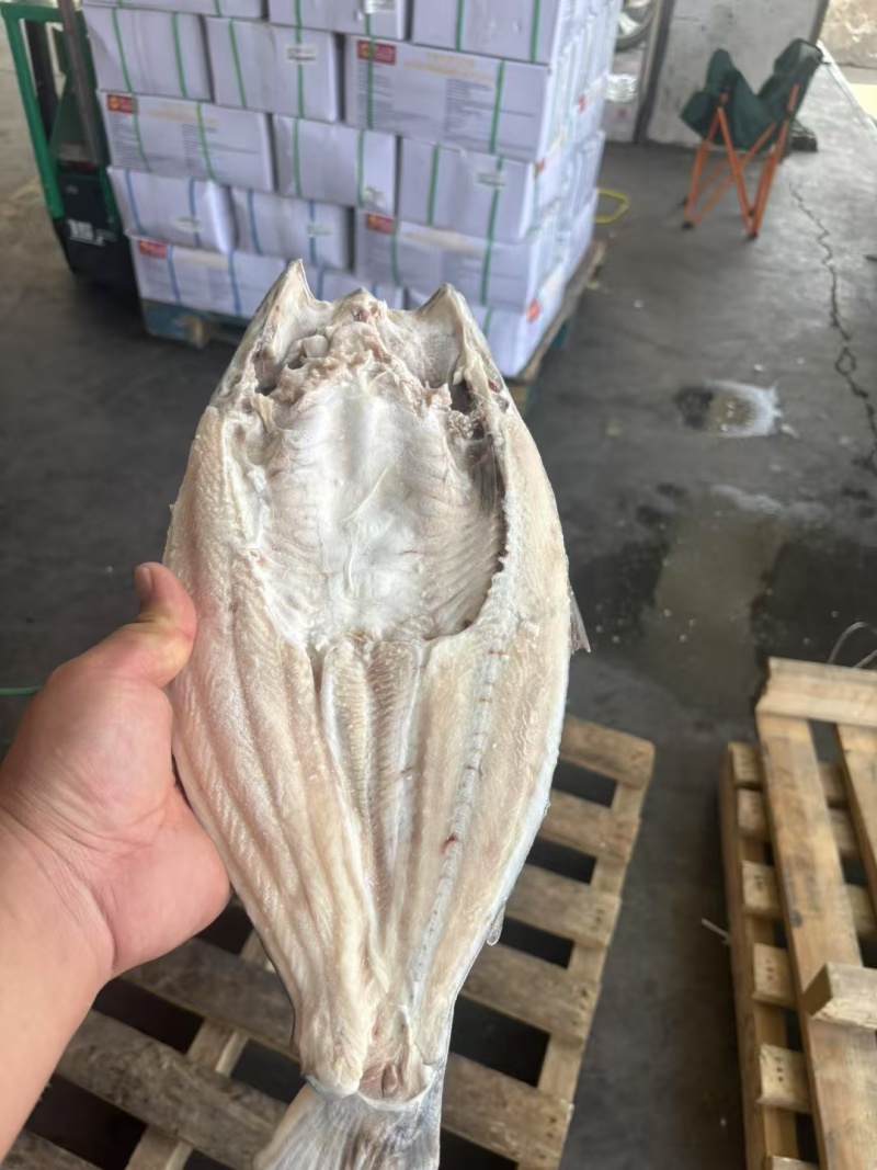 干冰开背巴沙鱼