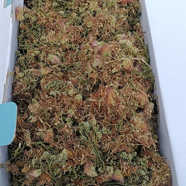合欢花干货