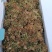 合欢花干货