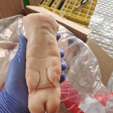 猪蹄