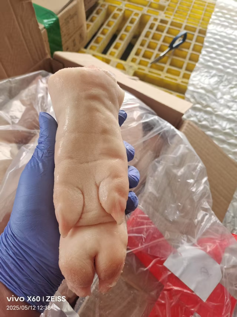 猪蹄