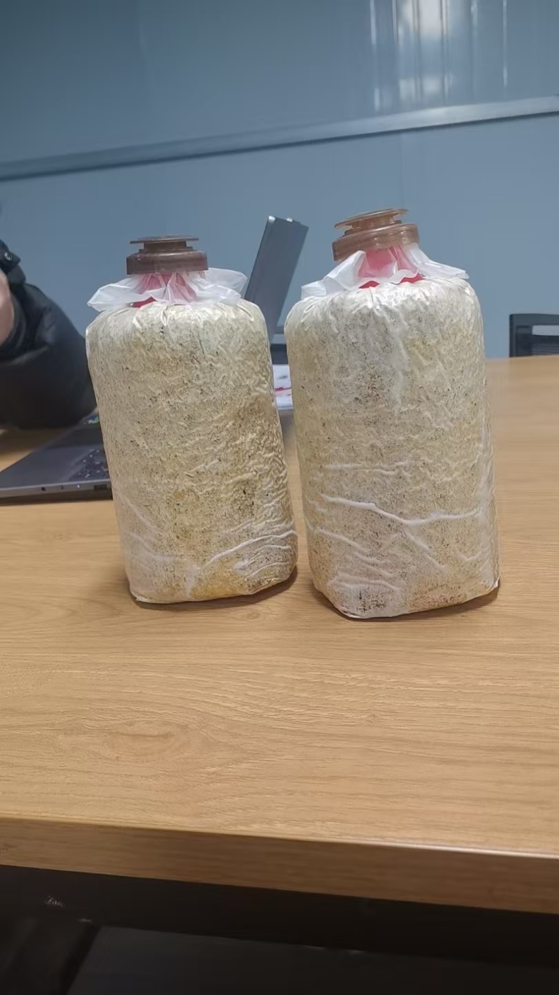 红托竹荪菌包
