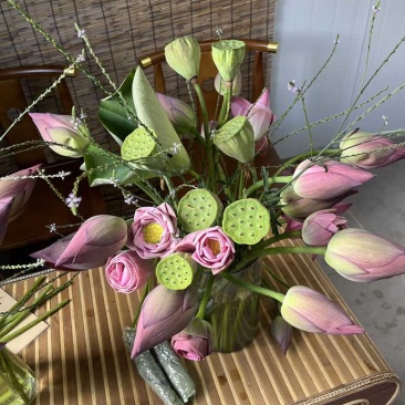 鲜插荷花