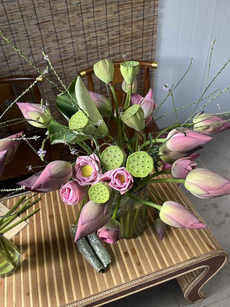鲜插荷花