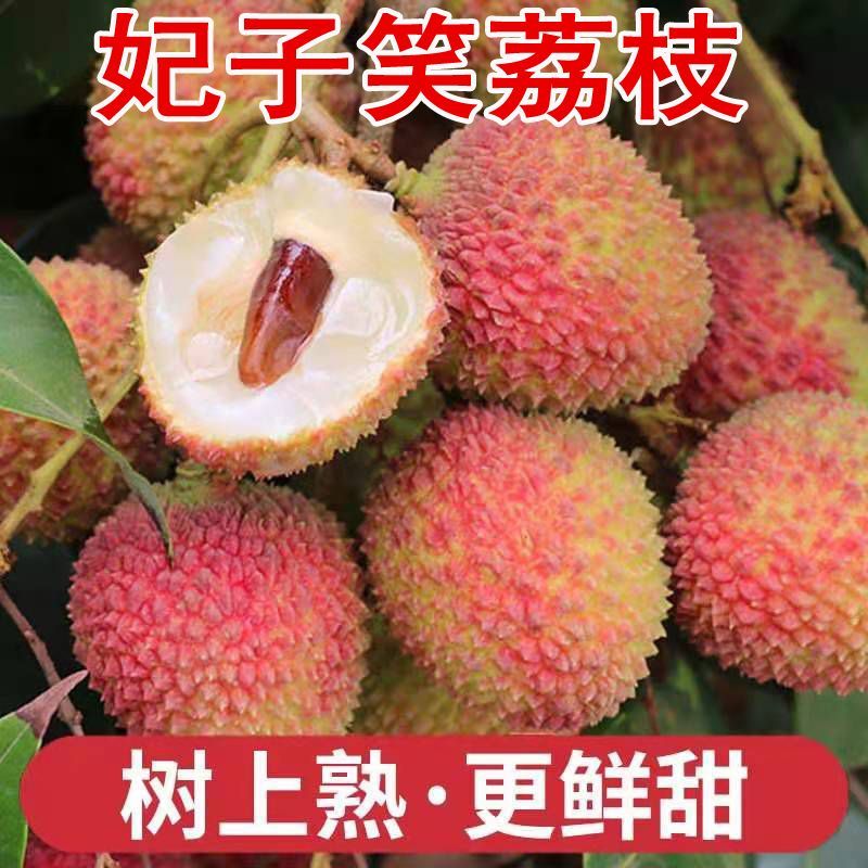 桂味，妃子笑，白糖罂荔枝，产地云仓直发。支持全网电商一件代发