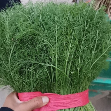 精品通货大量有货