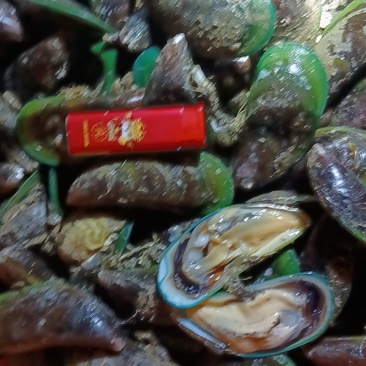 一手批发