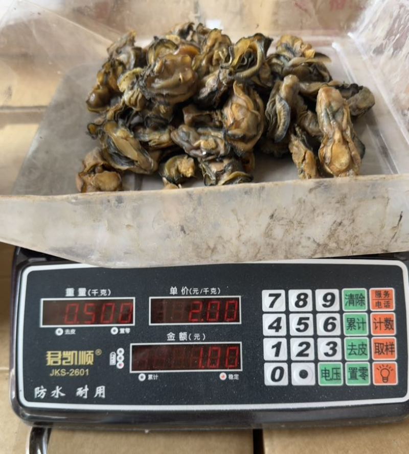 生蚝干海蛎子干