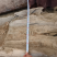 金丝楠干料