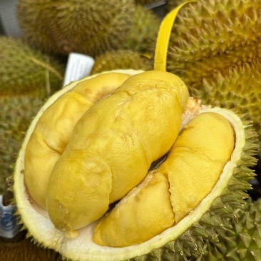 正宗应季榴莲水果A果保5房肉