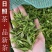 日照绿茶