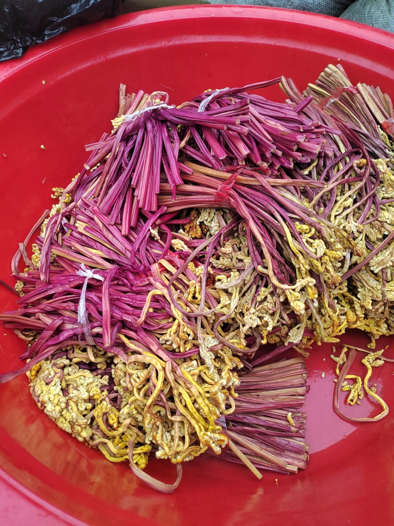 贵州威宁蕨菜