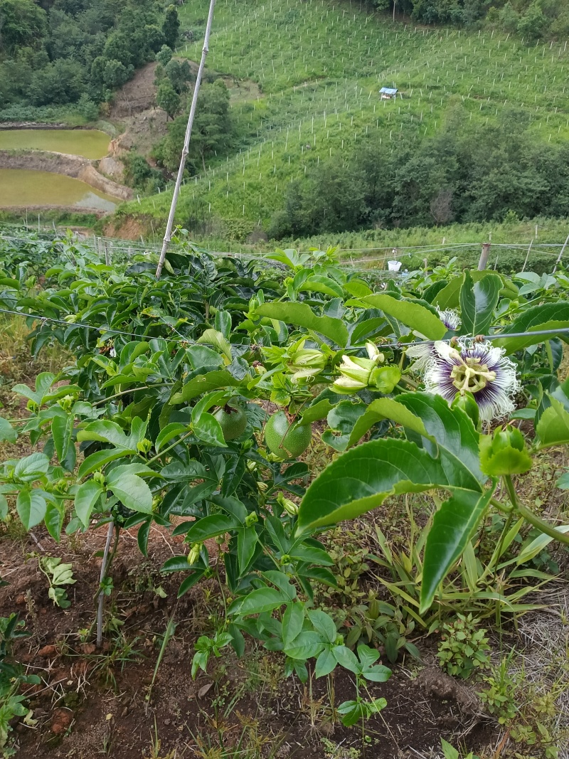 人品不是价格，价格在质量问题，好货才出价格