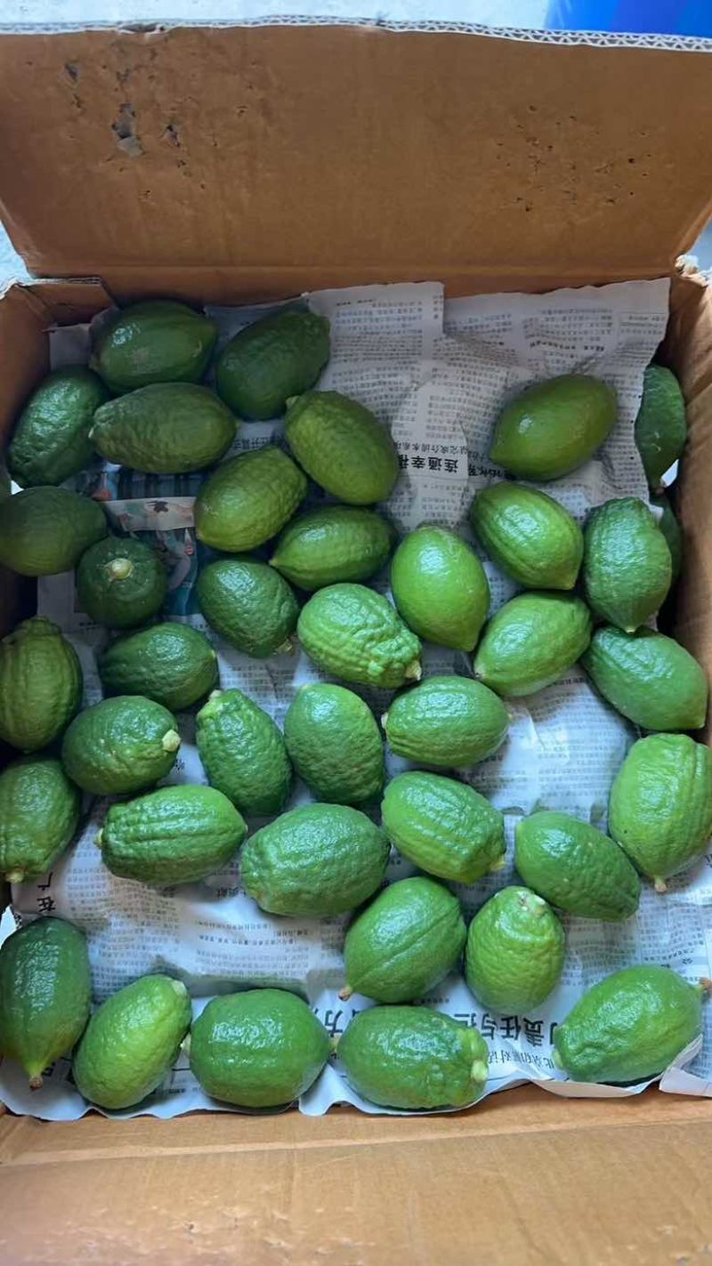 新鲜现摘广东香水柠檬