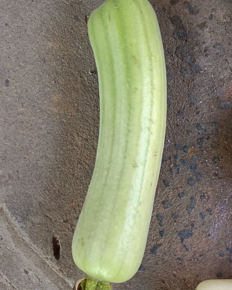 蔬菜