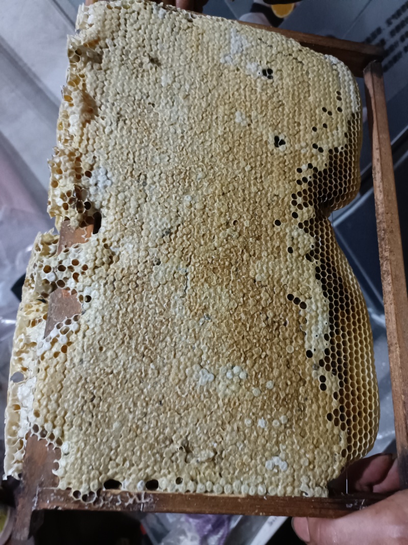 土蜂蜜