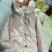 5000件全清29～反季棉服福利先安排上