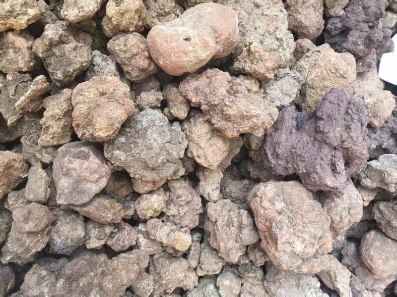 中药材姜石料姜石沙姜石蛎石礓砺地道药材质优价实