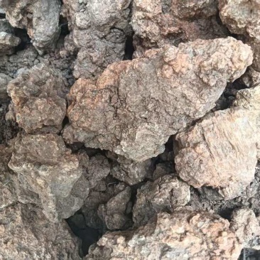 中药材姜石料姜石沙姜石蛎石礓砺地道药材质优价实