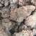 中药材姜石料姜石沙姜石蛎石礓砺地道药材质优价实