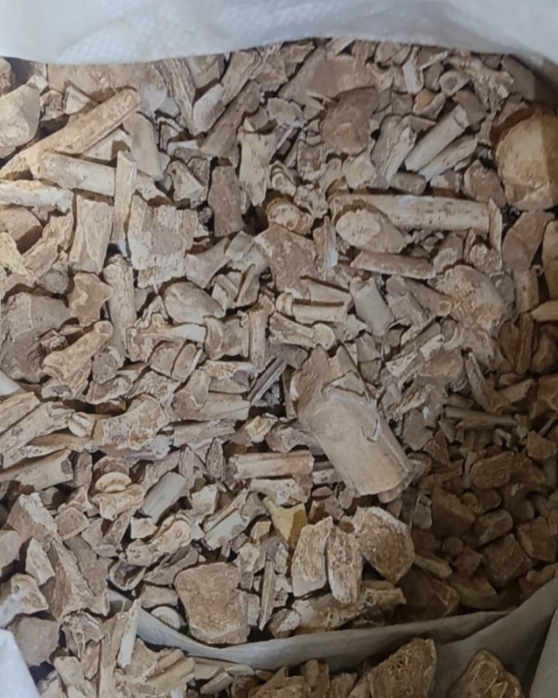中药化石土龙骨