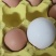 孔雀种蛋