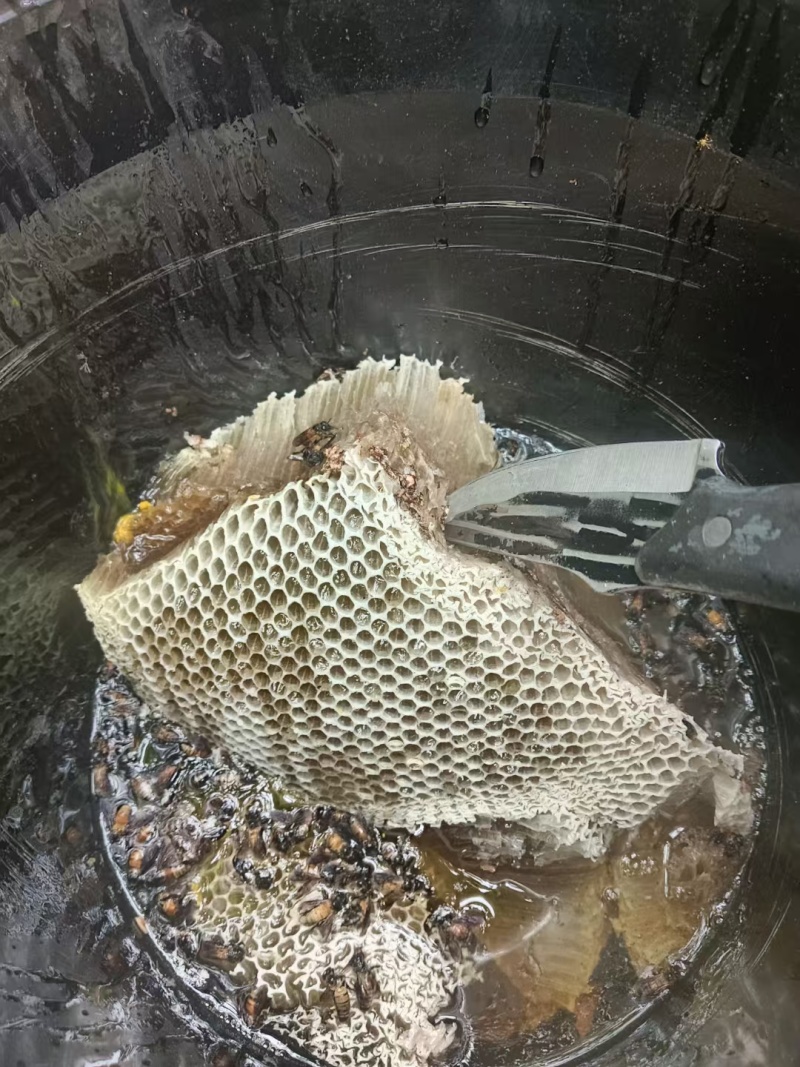 野蜂蜜土蜂蜜农村蜂蜜。