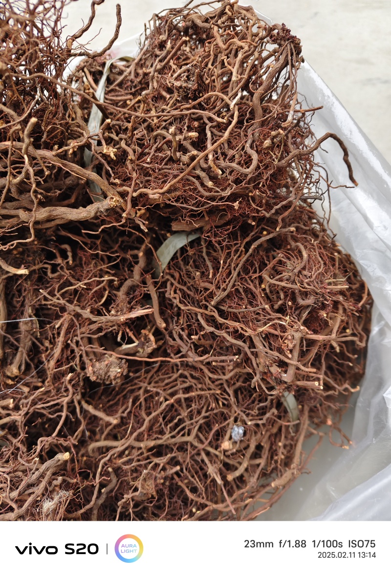 红茜草中药材