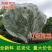 防虫网