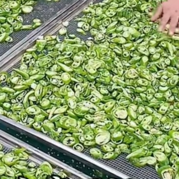 各类烘干蔬菜（胡萝卜、白菜、香菜、香菇、白萝卜、青椒等）