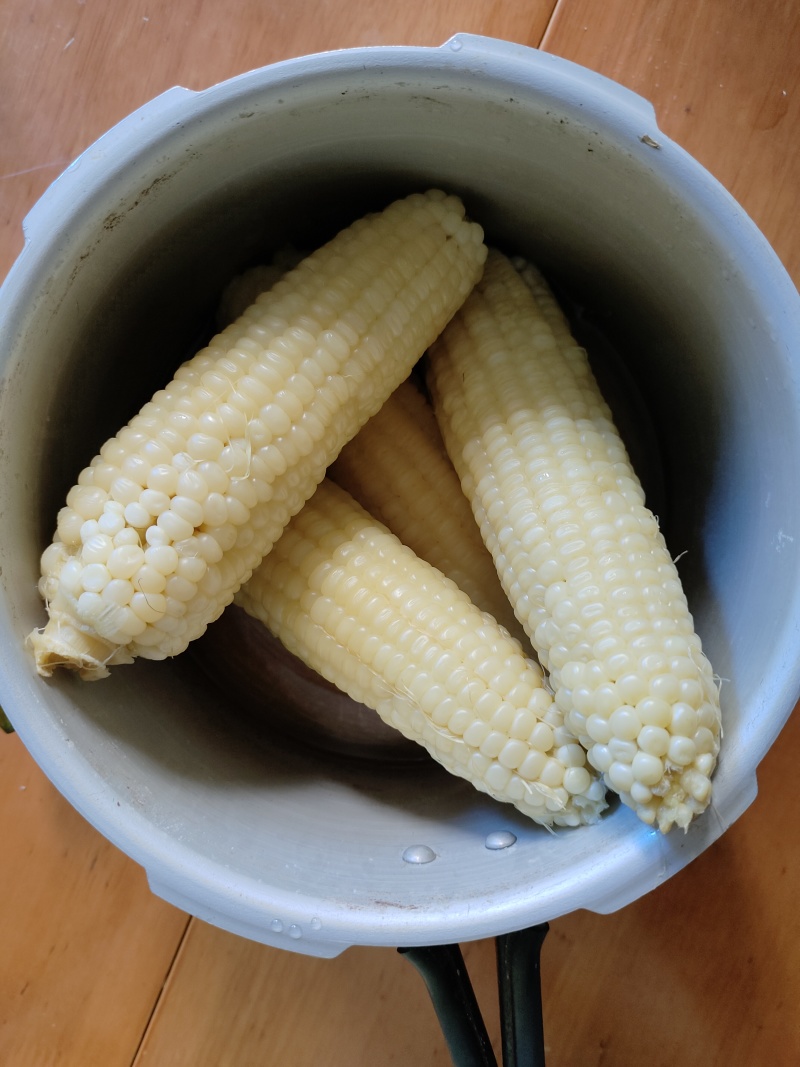 玉米